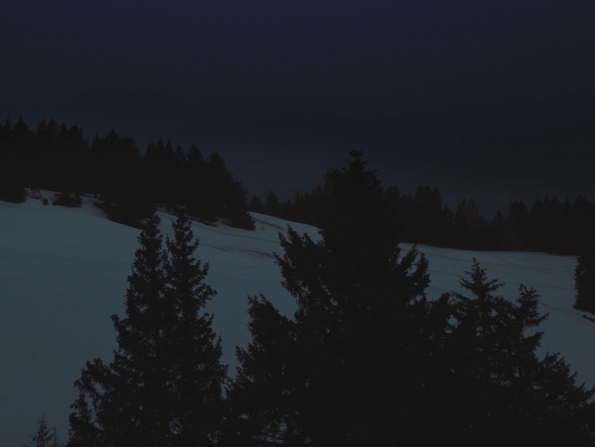 night, landscape, winter, moon, trees, dark