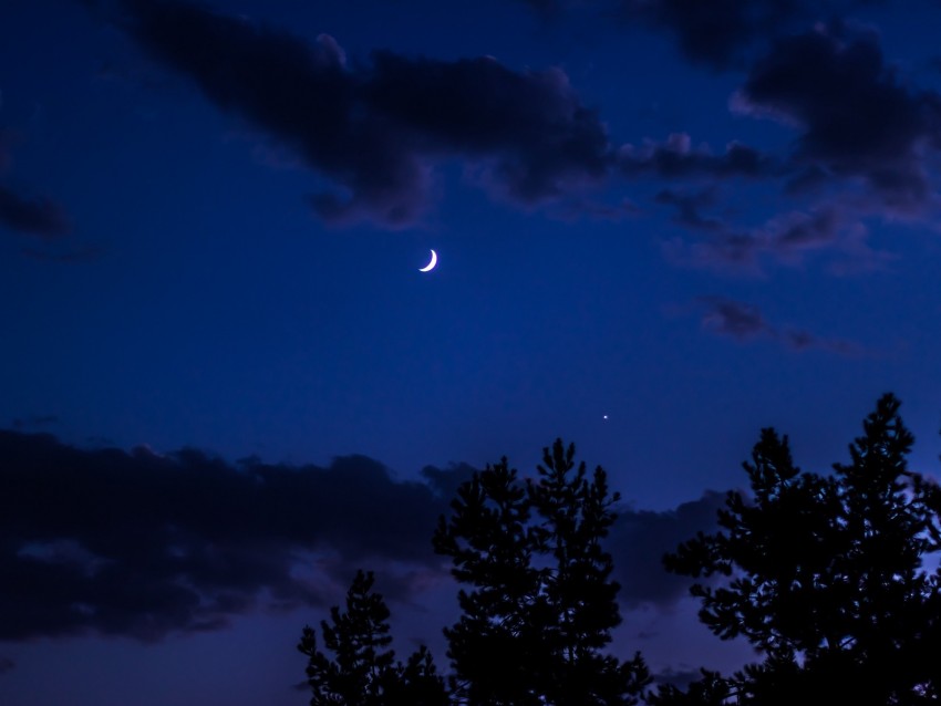 night, moon, sky, clouds, trees