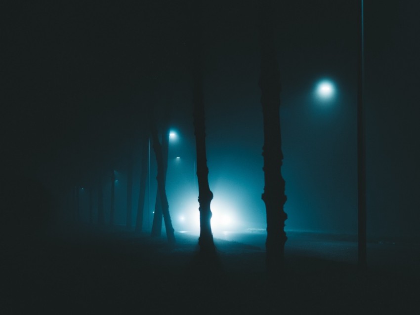 night, trees, fog, lights, light, gloomy, enveloping