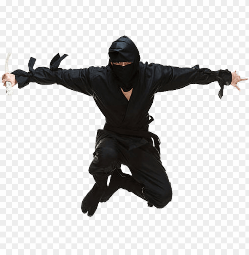 Below Are A Few Roblox Cheats That Players Can Use - Roblox Ninja - Free  Transparent PNG Download - PNGkey