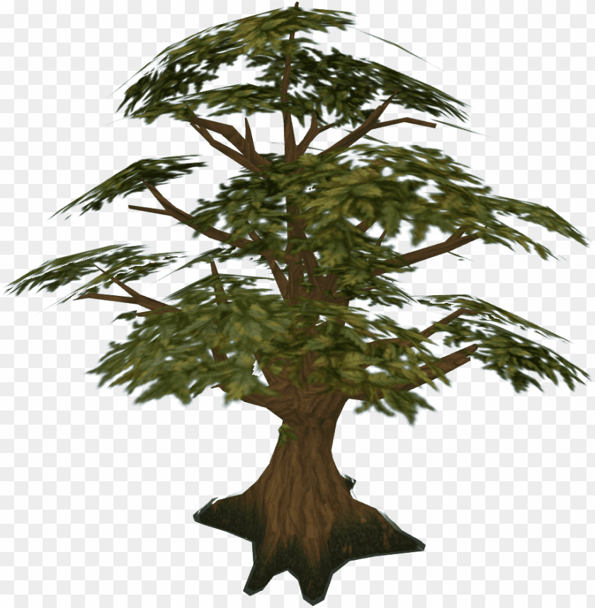 bonsai tree, tree drawing, oak tree silhouette, oak tree, christmas tree vector, tree icon