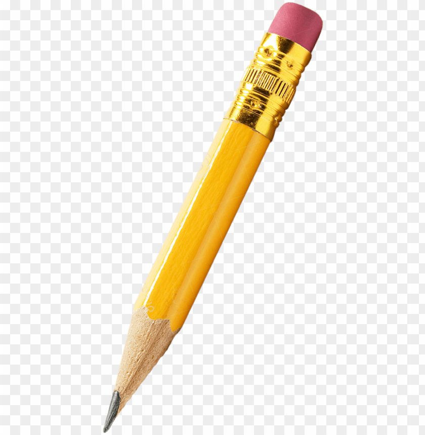 illustration, pen, equipment, pencil case, isolated, school, flat