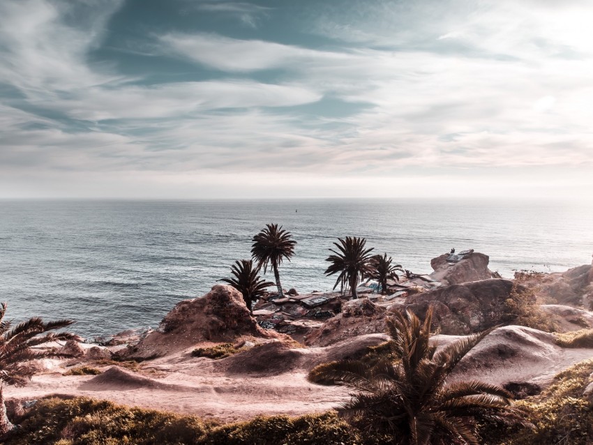 Ocean Coast Palm Trees Cliff Rocky Horizon Background Toppng