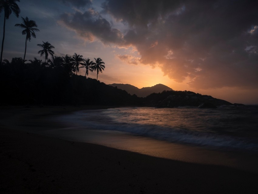 ocean, palm trees, sunset, shore, night, tropics