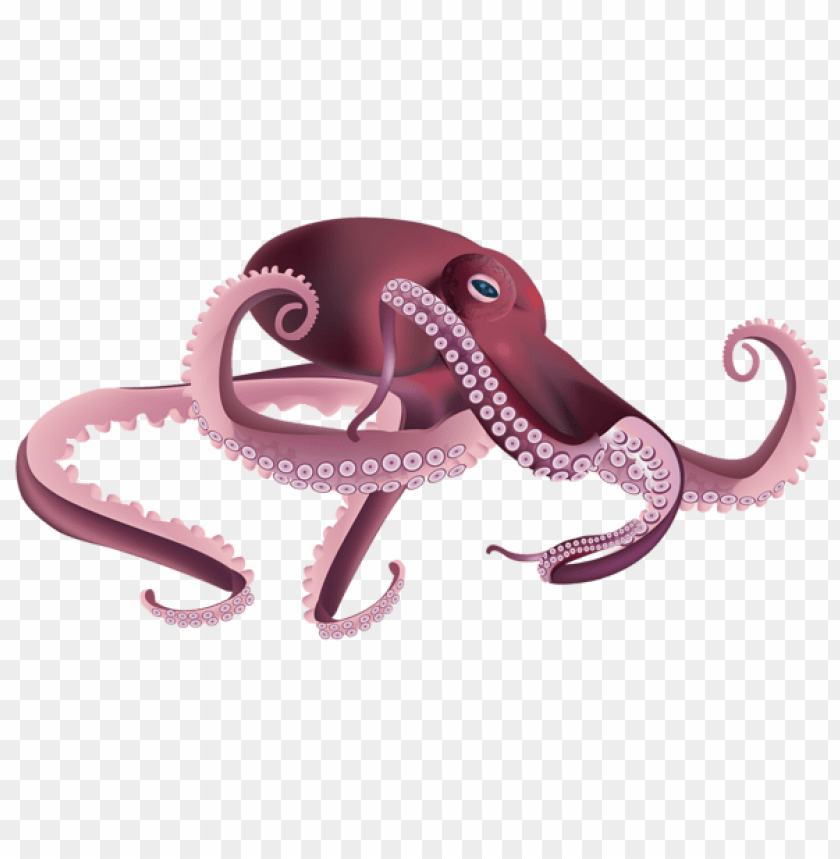 free PNG Download octopus clipart png photo   PNG images transparent