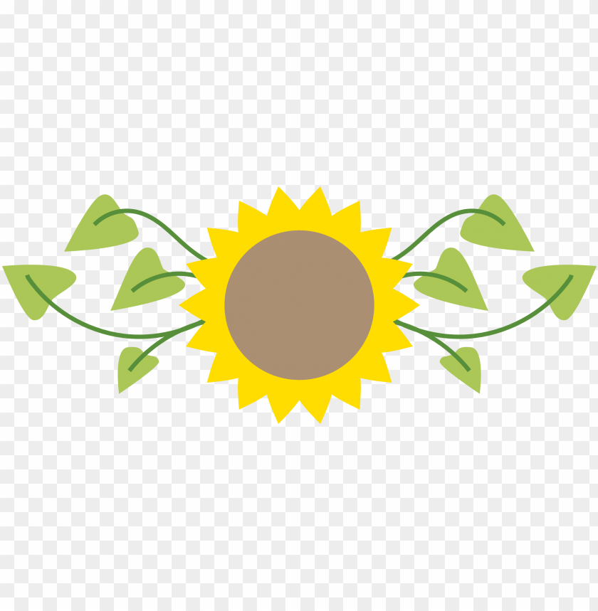 sunflower vector, sunflower, sunflower border, sunflower clipart, scroll banner, banner clipart