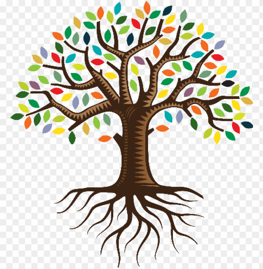 of yourself shaped by the past, but you can then begin - tree with roots  and leaves PNG image with transparent background | TOPpng