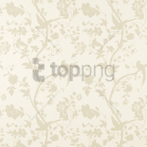 Off White Background Texture Background Best Stock Photos Toppng