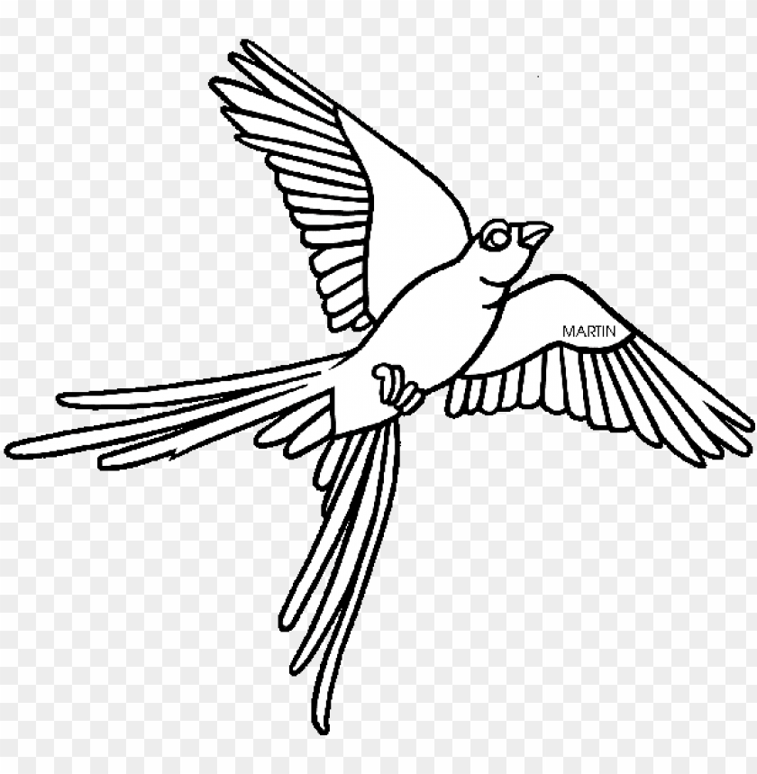 Easy bird drawing - video Dailymotion