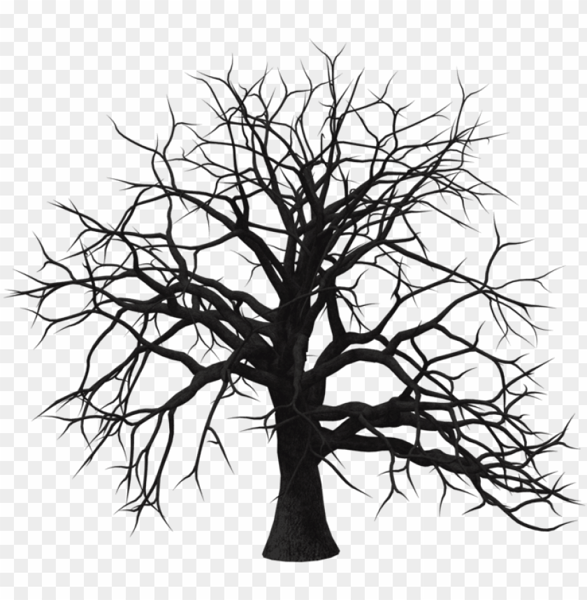 old tree transparent background png silhouette PNG transparent with Clear Background ID 205499