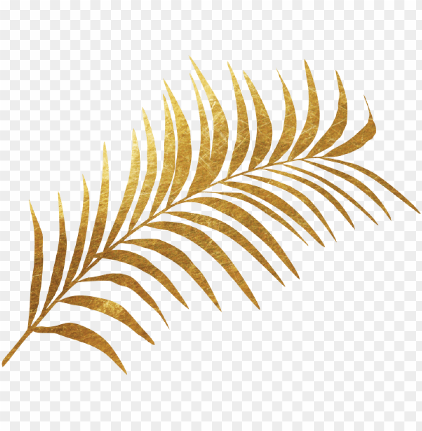 Olden Plant - Fern Leaf Gold PNG Transparent With Clear Background ID 185201