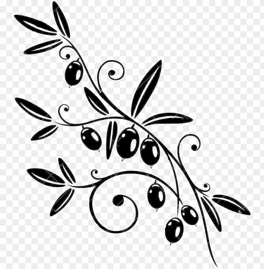 free PNG olive branch - olive branch vector png clipart PNG image with transparent background PNG images transparent
