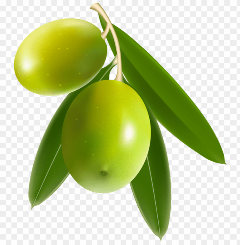 Transparent olives PNG background - Image ID 50001
