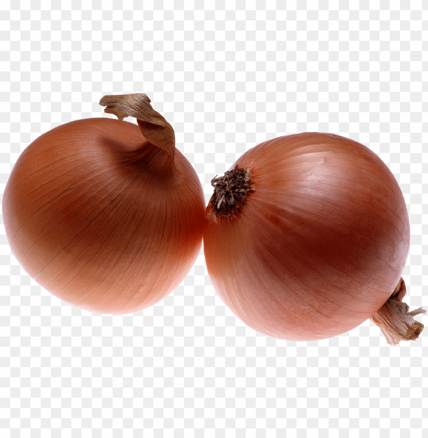 
onion
, 
vegetable
, 
genus allium
, 
allium fistulosum
, 
onions
