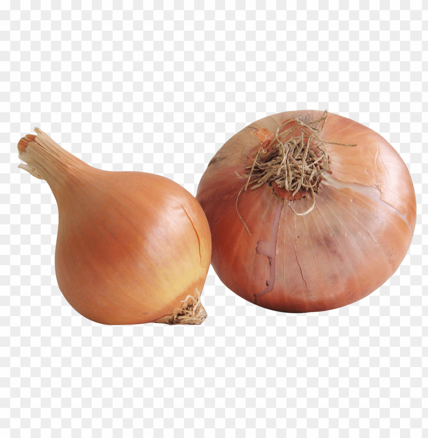 Onion PNG Images With Transparent Backgrounds - Image ID 11928