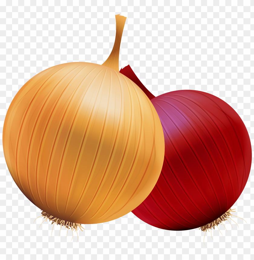 onion, red