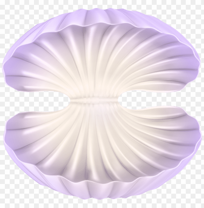 Clam Shell SVG