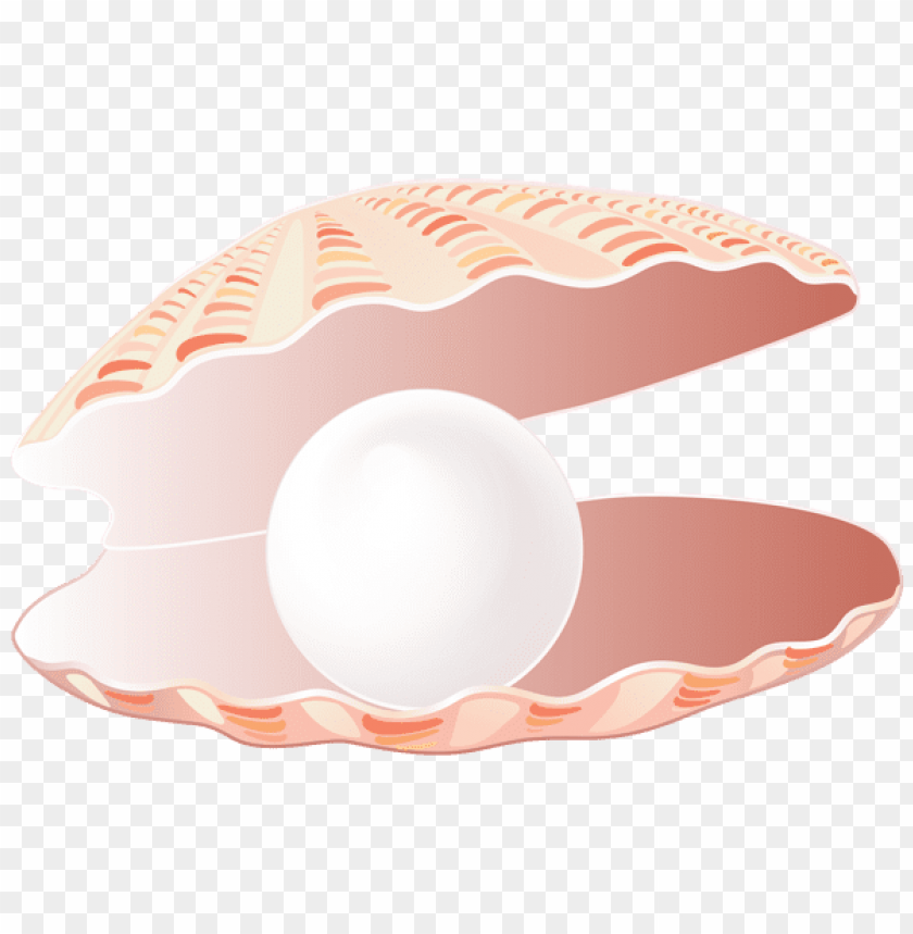 open seashell with pearl transparent clipart png photo - 56299