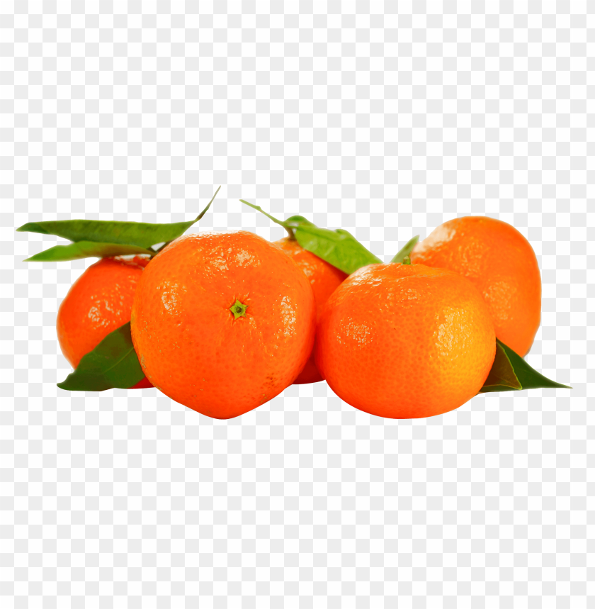 fruits, orange, citrus