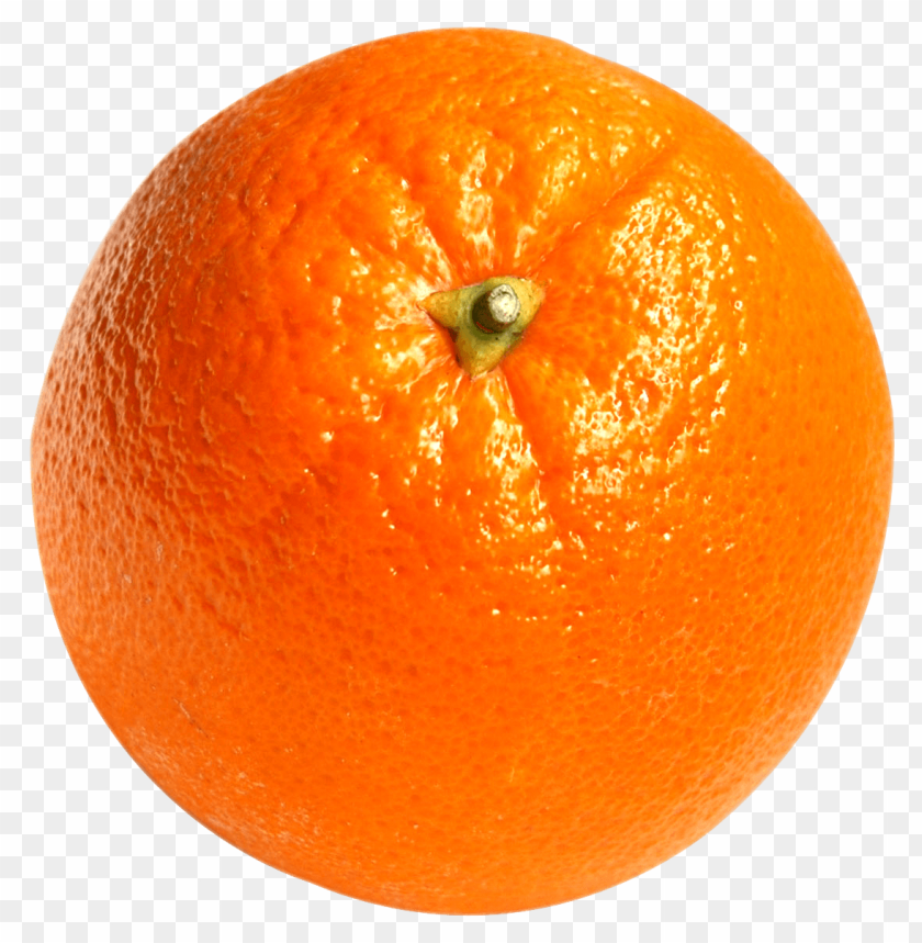 fruits, orange, citrus