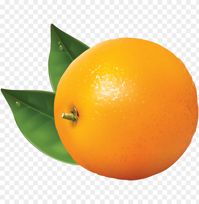 
orange
, 
fruit
, 
food
, 
tasty
, 
delicious
, 
orange
, 
color
