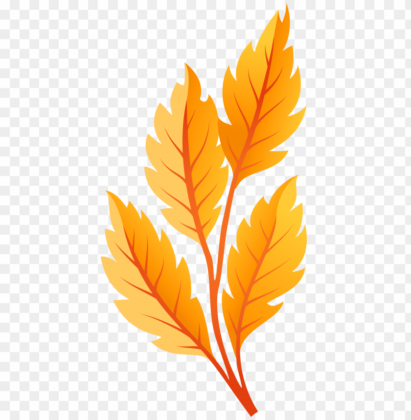 autumn, leaves, orange
