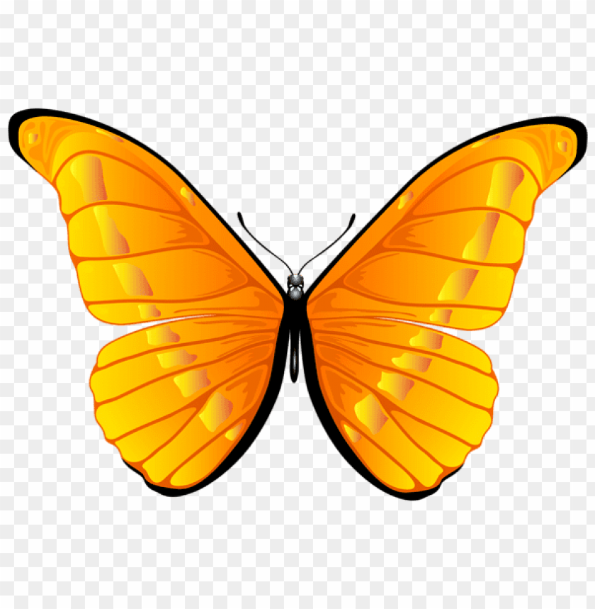 Download Orange Butterfly Clipart Png Photo Toppng