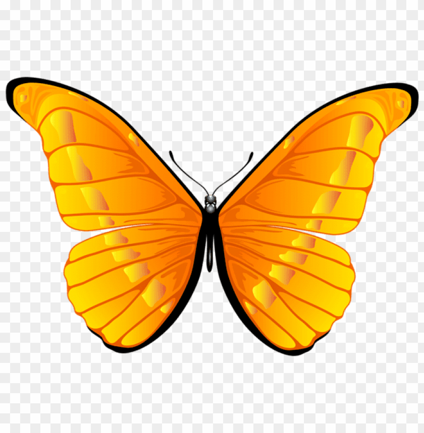 free clipart butterfly images