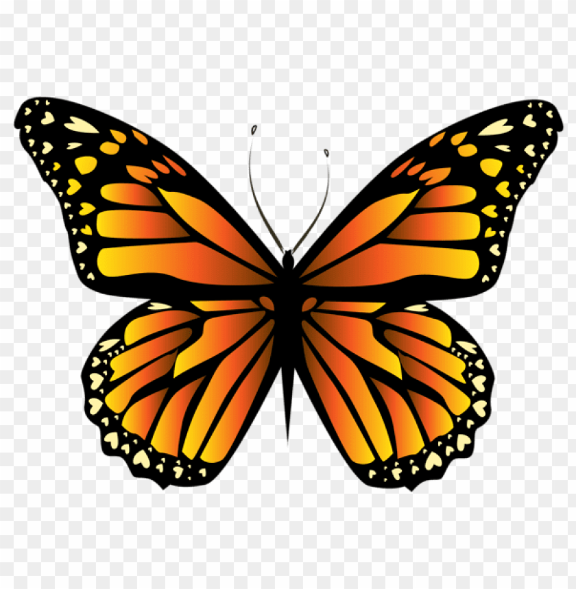 Download Orange Butterfly Png Clipar Clipart Png Photo Toppng