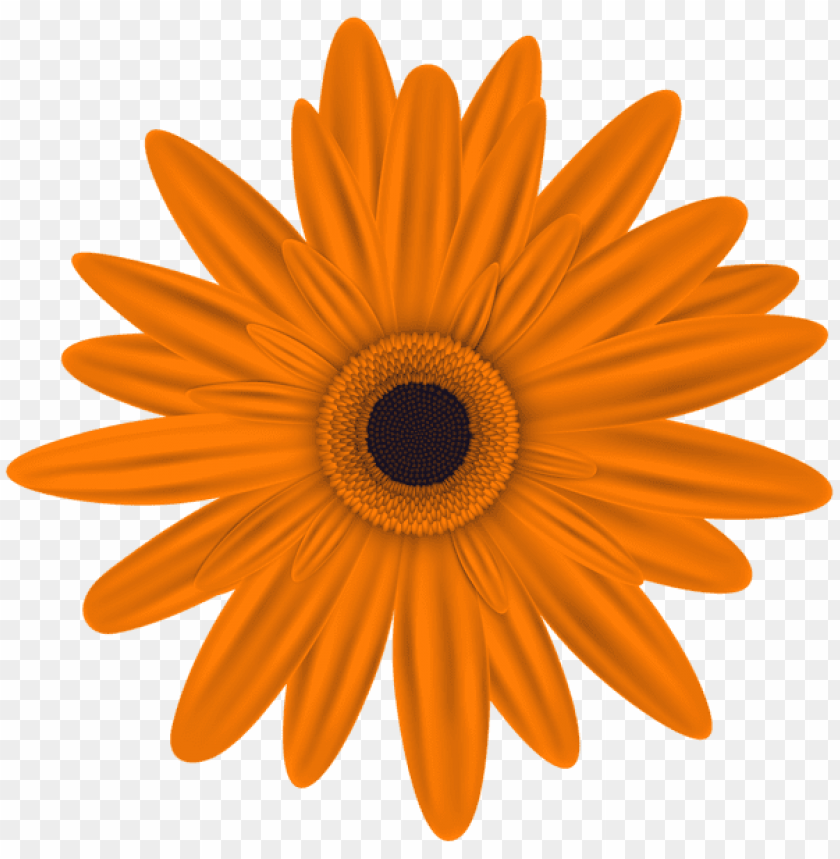PNG image of orange flower with a clear background - Image ID 45368