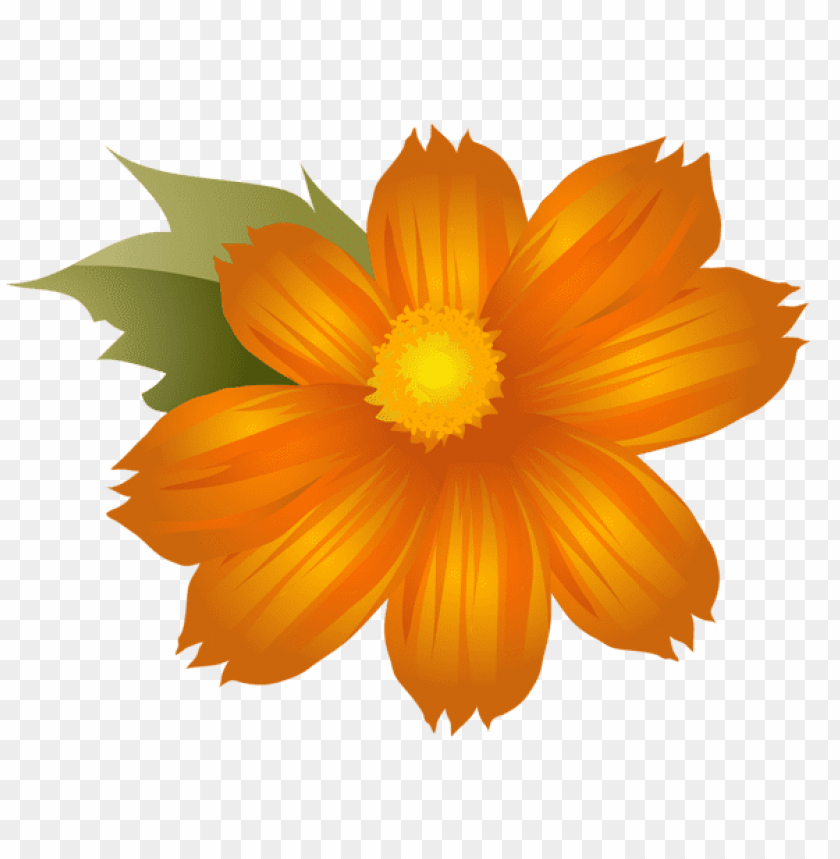 free PNG Download orange flower png clip-art png images background PNG images transparent