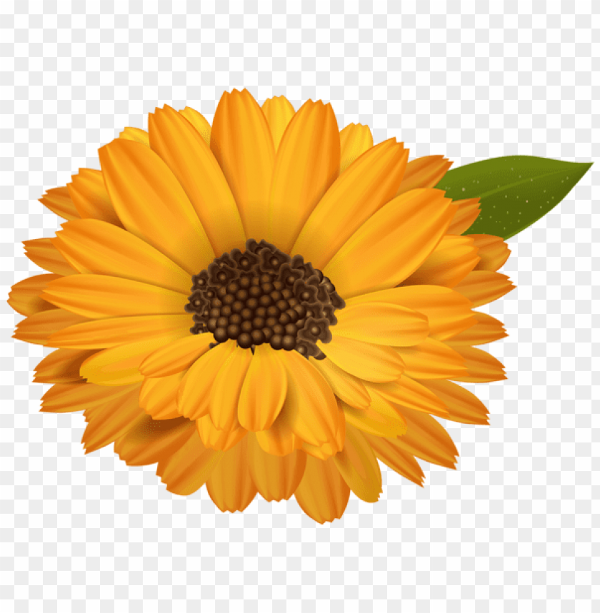 PNG image of orange flower transparent with a clear background - Image ID 45351