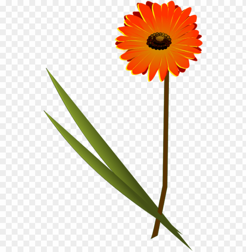 orange cone, flower, spring, floral, warning, nature, flowers