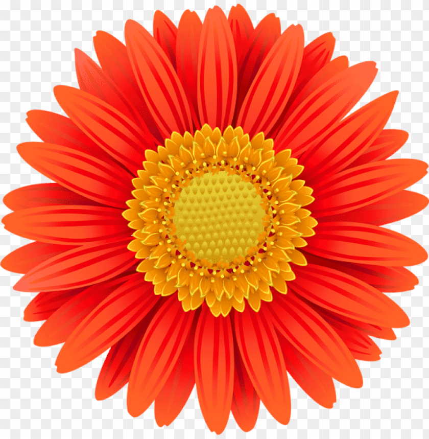 PNG image of orange gerbera transparent with a clear background - Image ID 44139