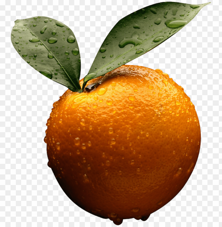 orange orange PNG images with transparent backgrounds - Image ID 11129