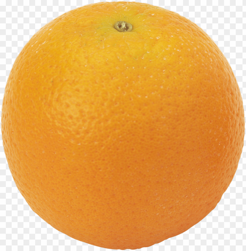 orange orange PNG images with transparent backgrounds - Image ID 11142