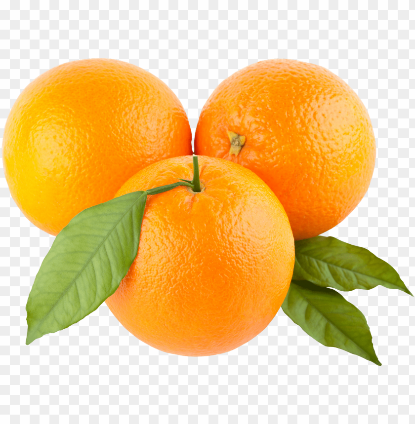 
orange
, 
fruit
, 
bitter orange
, 
oranges
, 
clip art
