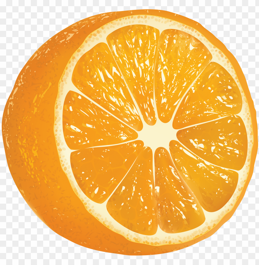 orange, fruit, bitter orange, oranges, clip art