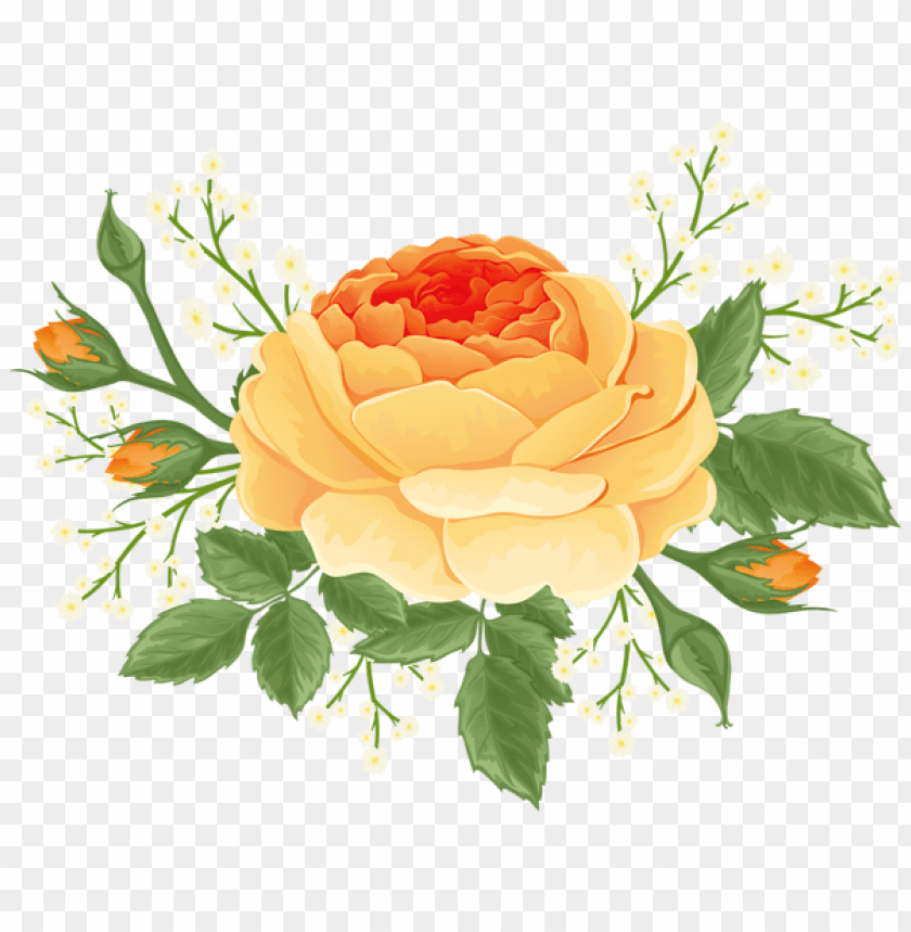 orange rose with white flowers