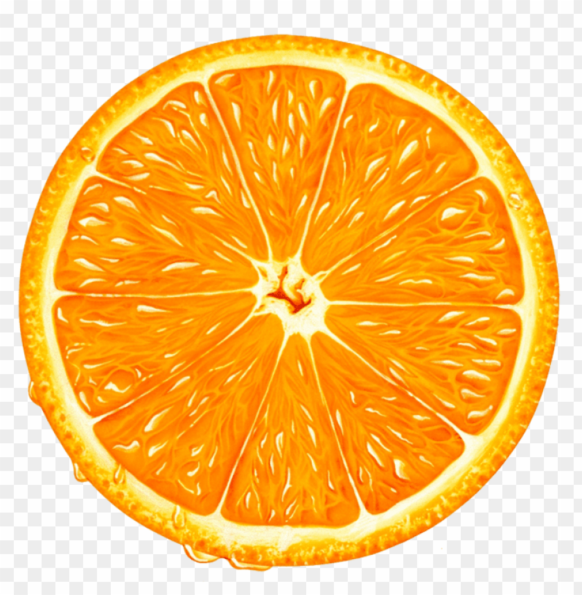 Download Orange Slice Clipart Png Photo Toppng