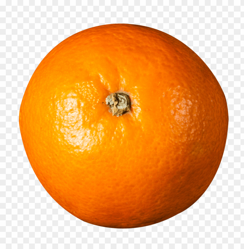orange top view png - Free PNG Images ID 5642