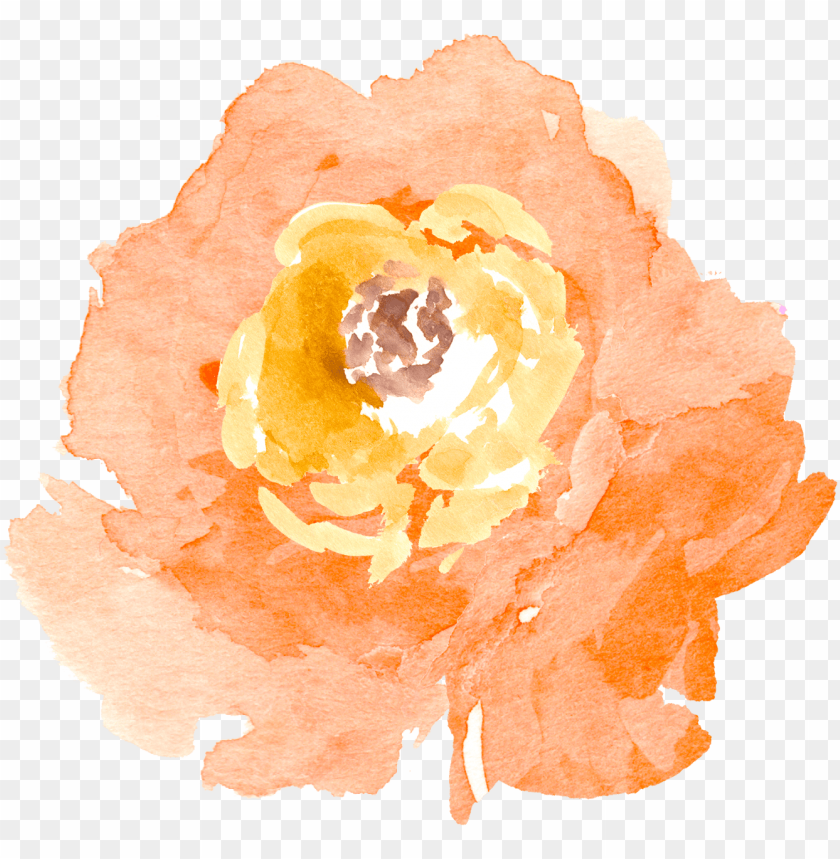orange transparent watercolour peach watercolor flower PNG transparent with Clear Background ID 170074