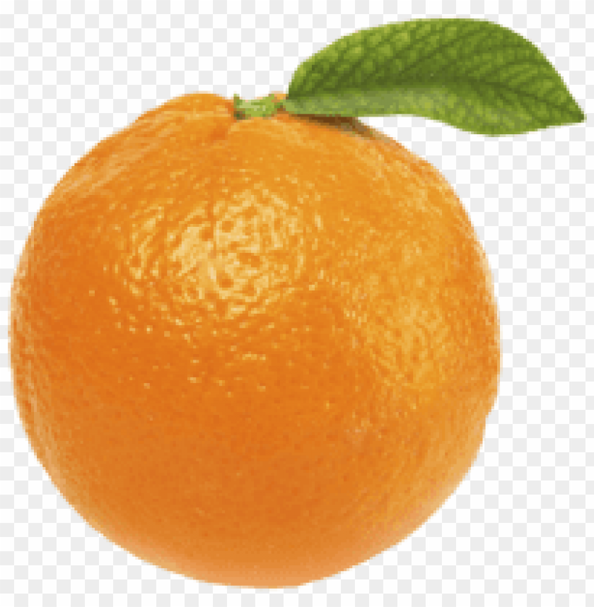 orange, with, leaf