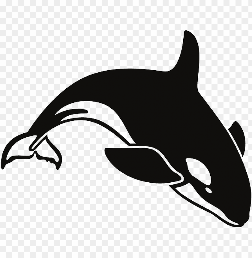 orca clipart transparent killer whale throw blanket png image with transparent background toppng killer whale throw blanket png image