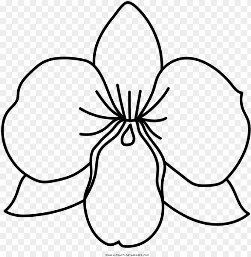 flower, symbol, technology, decoration, ribbon, fleur de lis, internet