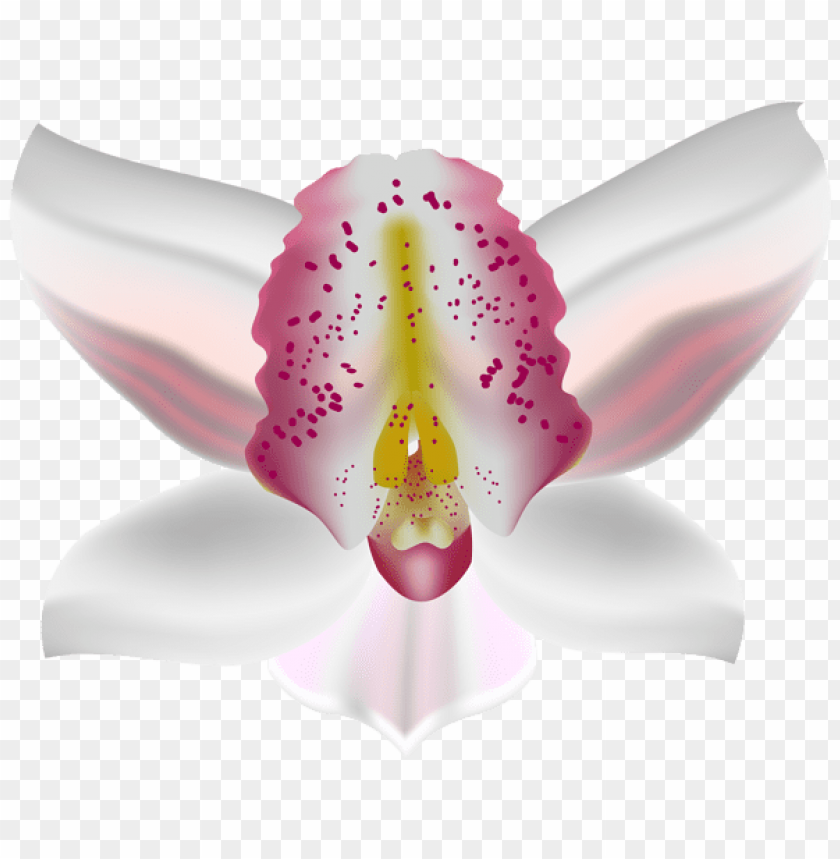 orchid deco flower png