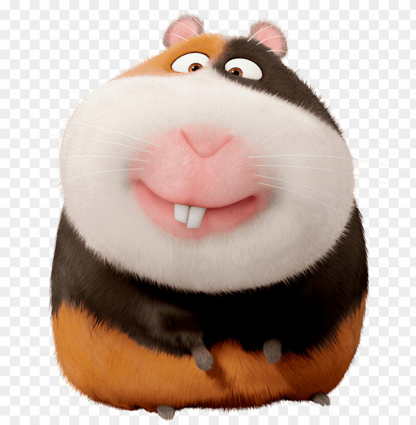 orman the secret life of pets secret life of pets guinea pig name PNG transparent with Clear Background ID 219329