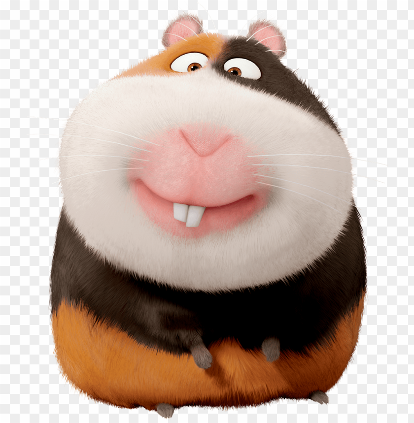 Orman The Secret Life Of Pets - Secret Life Of Pets Guinea Pig Name PNG Transparent Background