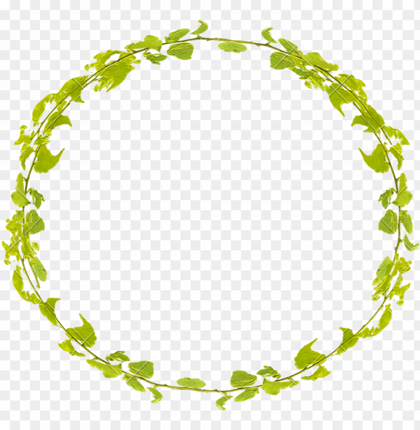 floral, circle frame, logo, circles, leaf, round, banner