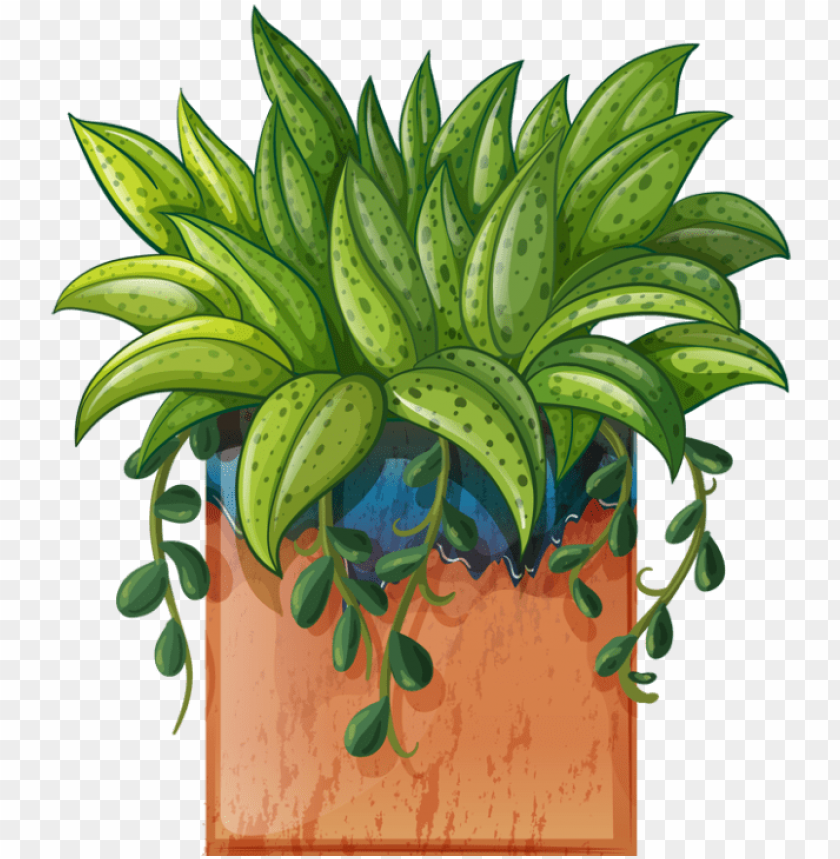 ot plant clipart beautiful flower pencil and in color transparent potted plants clipart hd PNG transparent with Clear Background ID 277180